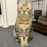 大きな体がチャームポイント★ゆずくん サムネイル2