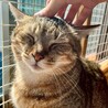 大きな体がチャームポイント★ゆずくん サムネイル4
