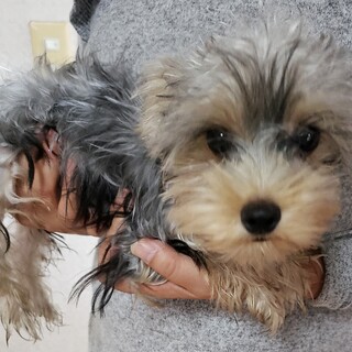 一旦、新規の方の申し込みを中止させて下さい。