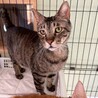 ビビリだけど馴れると甘えん坊★かずはくん サムネイル5