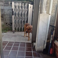 少し怖がりな男の子ラブ