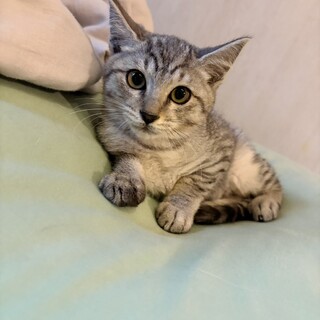 癒しのイケメン♡きのくん