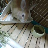 美月(みーちゃん)