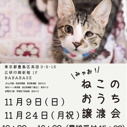 ◇ミャオ！ねこのおうち◇譲渡会◇