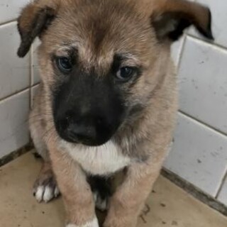 11月7日朝9時！　※時間厳守