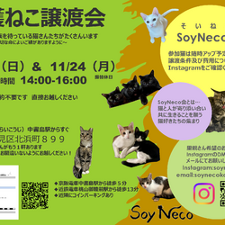 【SoyNeco会主催】保護ねこ譲渡会（京都市伏見区）