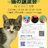 11/9譲渡会　キジ白の男の子　かなで サムネイル2