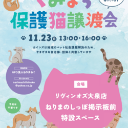 猫の譲渡会　カインズ練馬
