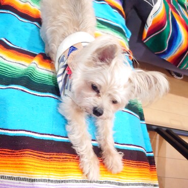 きき♡のびのびー♡