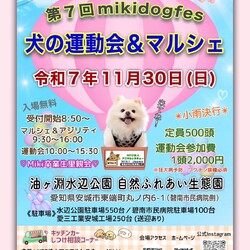 犬の運動会&マルシェ