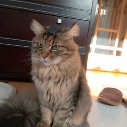 「エネクールは冷えます」サムネイル2