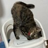 の写真