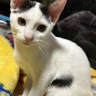 甘えん坊でかわいい女の子