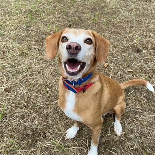 お転婆甘えん坊女子です。