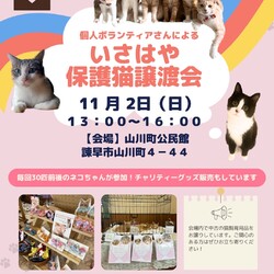 個人ボランティアさんによるいさはや保護猫譲渡会