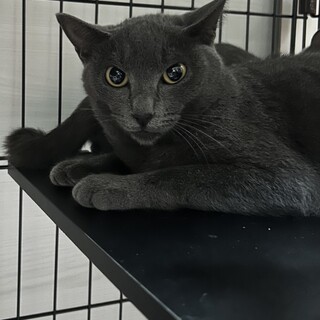 孫？甥っ子？のお世話をする せつちゃん