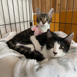 ♦︎きゅん & ナッツ♦︎