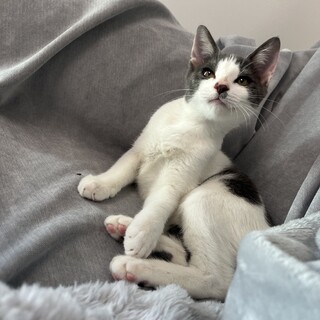 生き残った女の子！！