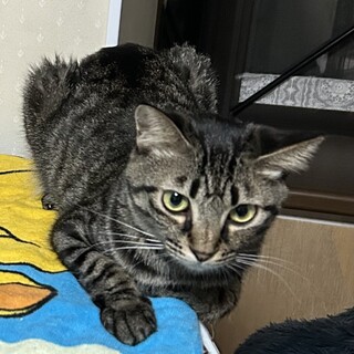 環境に不安ありの場所より親子で保護