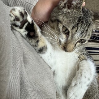 とっても甘えん坊のまるまる君