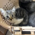 一時　停止します