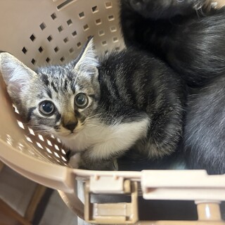 一時　停止します