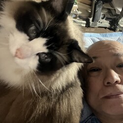 「うにちゃん13歳の誕生日！」サムネイル3