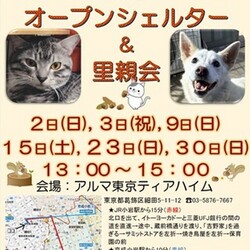 ティアハイムオープンシェルター里親会