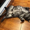 久しぶりの投稿。立派なおっさんになりました