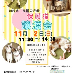 秘密結社ねこのひげ♡保護猫譲渡会 サムネイル1