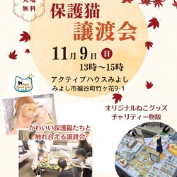 保護猫譲渡会　愛知県みよし市　