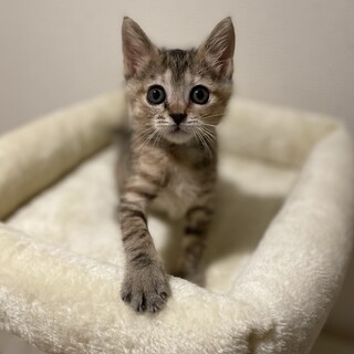 ⚫️⚫️一旦募集停止します⚫️⚫️