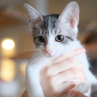 ソーテルヌ♡家族ができました