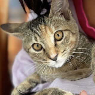 人が大好き❤️無邪気でお茶目なミミちゃん