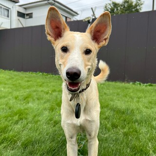 遊ぶの大好きなシャイボーイ☆テリー