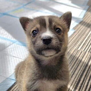 生後1ヶ月男の子①