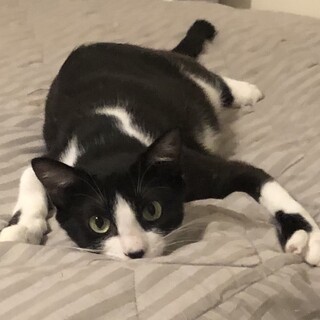 【4/5赤羽橋】性格は超おっとり★ママと一緒に