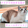 マイペースに甘えたさんです サムネイル3