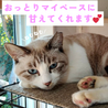 マイペースに甘えたさんです サムネイル4