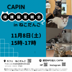CAPIN ねこの里親会　IN カフェねこだんご