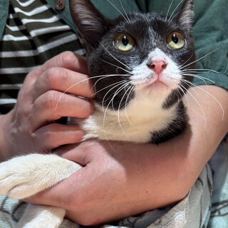 生後５ヶ月優しい女の子