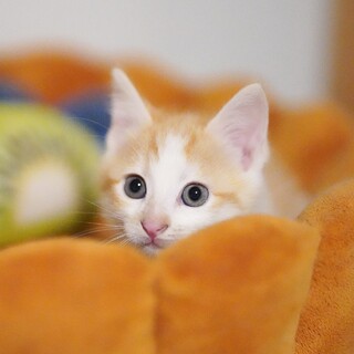 11/9高田馬場★波佐見ちゃん★遊ぶの大好き！