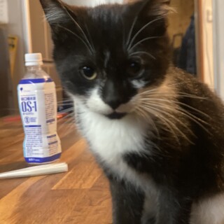 生後3か月、まだ性別分かりにくいです