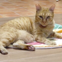 せんちゃん元気です