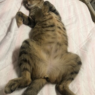 おてんばで元気な女の子