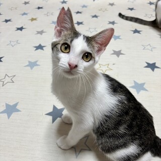 元気いっぱいたいようくん♪