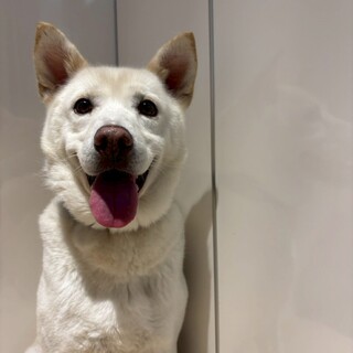 いつもおっとり【プラダ】くん