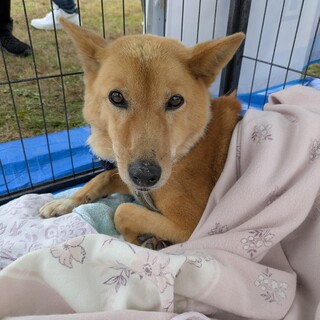 元気で美人な【かすみ】ちゃん