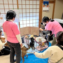 ラビンライフ譲渡会 サムネイル1