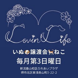 ラビンライフ譲渡会 サムネイル3